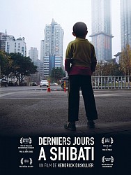 DERNIERS JOURS A SHIBATI de Hendrick Dusollier