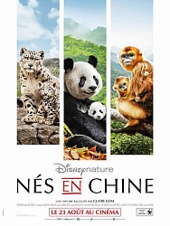 NÉS EN CHINE de Lu Chuan
