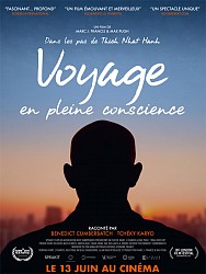 VOYAGE EN PLEINE CONSCIENCE de Marc Francis & Max Pugh VOYAGE EN PLEINE CONSCIENCE de Marc Francis & Max Pugh