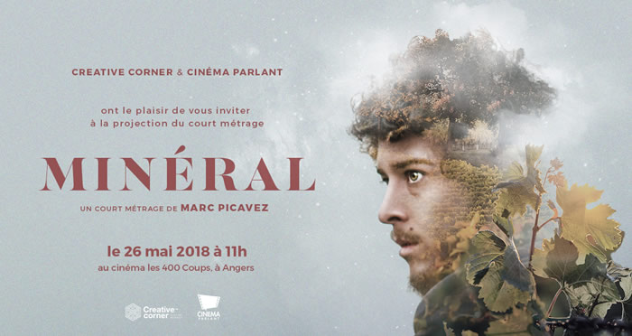MINÉRAL - Marc Picavez