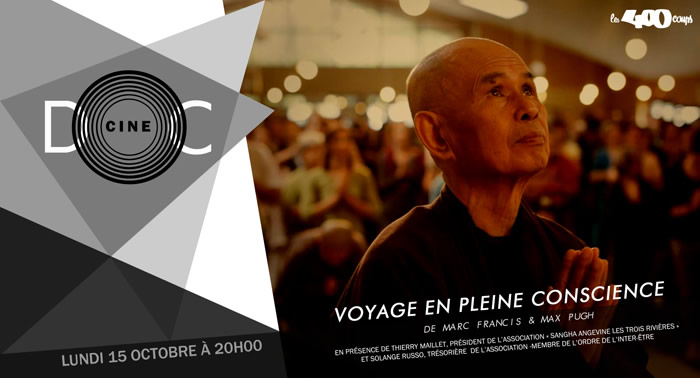VOYAGE EN PLEINE CONSCIENCE - Marc Francis & Max Pugh