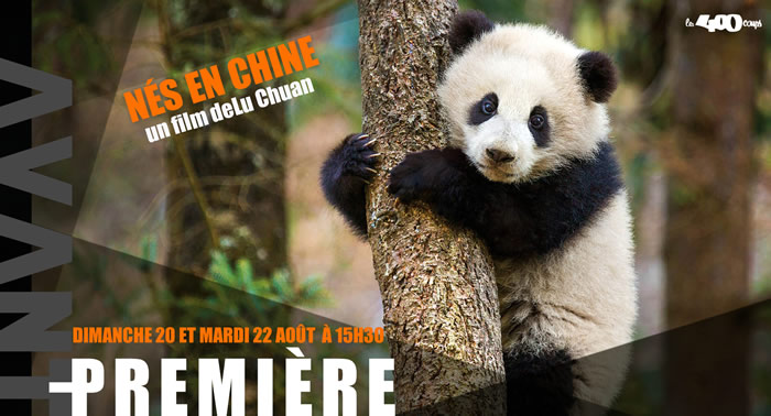 NÉS EN CHINE - Lu Chuan