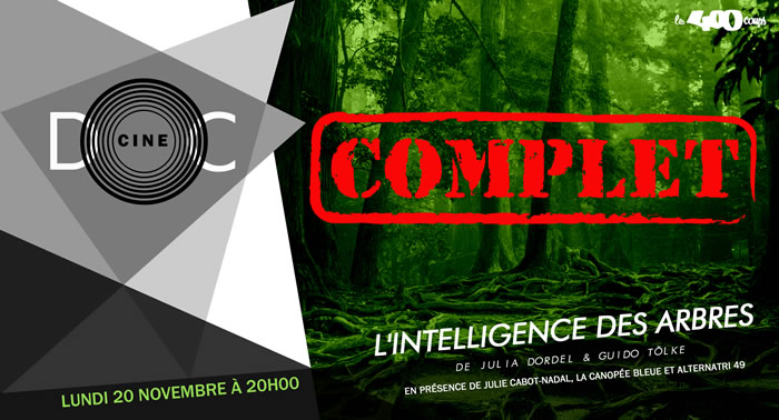 L'INTELLIGENCE DES ARBRES - Julia Dordel & Guido Tölke