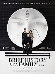 BRIEF HISTORY OF A FAMILY de Lin Jianjie