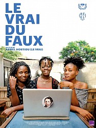 LE VRAI DU FAUX de Armel Hostiou