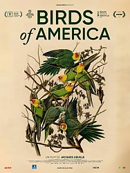 BIRDS OF AMERICA de Jacques Loeuille