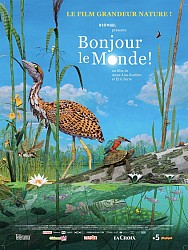 BONJOUR LE MONDE ! de AnneLise Koehler & Eric Serre