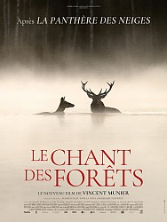 LE CHANT DES FORÊTS de Vincent Munier