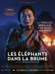 LES ÉLÉPHANTS DANS LA BRUME de Abinash Bikram Shah