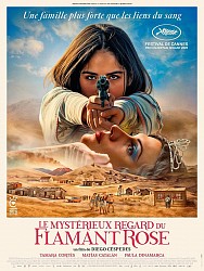 LE MYSTÉRIEUX REGARD DU FLAMANT ROSE de Diego Cespedes