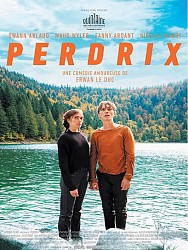 PERDRIX de Erwan Leduc
