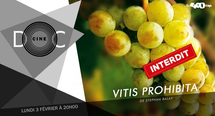 VITIS PROHIBITA - Stephan Balay