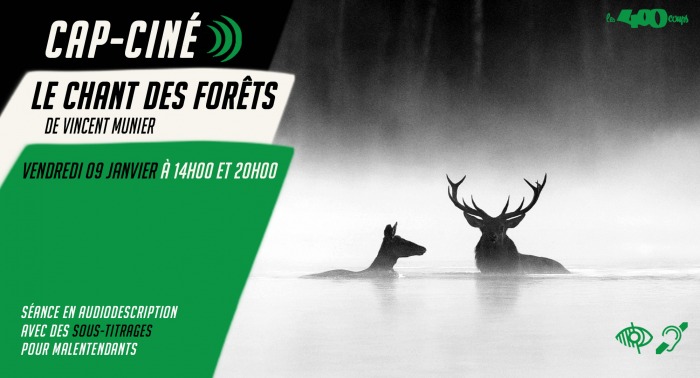 LE CHANT DES FORÊTS de Vincent Munier