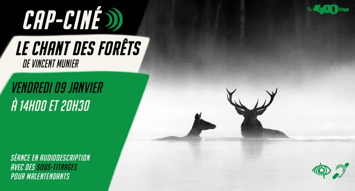 LE CHANT DES FORÊTS de Vincent Munier