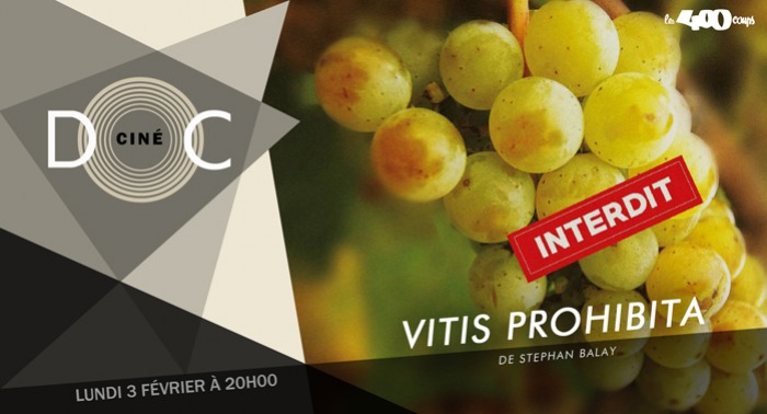 VITIS PROHIBITA - Stephan Balay