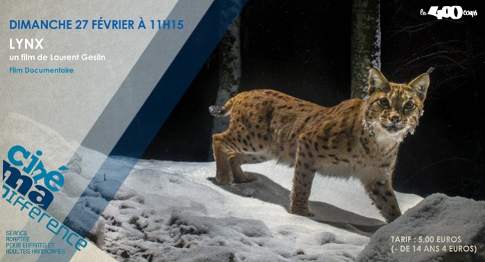 LYNX - Laurent Geslin