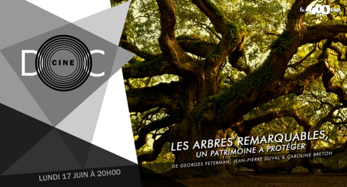 LES ARBRES REMARQUABLES, UN PATRIMOINE A PROTÉGER - Georges Feterman, Jean-Pierre Duval & Caroline Breton