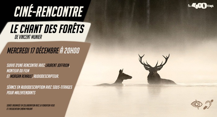 LE CHANT DES FORÊTS - Vincent Munier