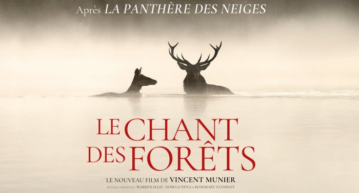 LE CHANT DES FORÊTS - Vincent Munier