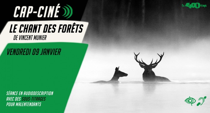LE CHANT DES FORÊTS de Vincent Munier