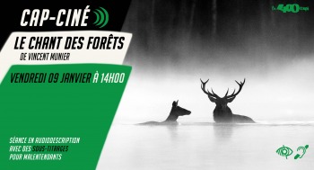 LE CHANT DES FORÊTS - Cap ciné - 2026-01-09