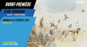 A VOL D'OISEAUX - Avant-première / Festival Télérama Enfants - 2023-02-26