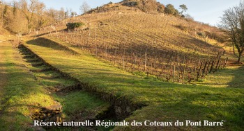 RÉSERVE NATURELLE RÉGIONALE DES COTEAUX DU PONT BARRÉ - Ciné doc - 2025-10-09