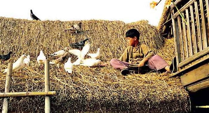 SOUVENIRS D'ENFANCE - Xu Geng