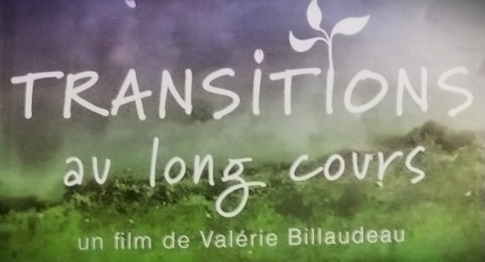 TRANSITIONS AU LONG COURS - Valérie Billaudeau