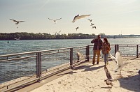 Photo du film SIMPLE COMME SYLVAIN de Monia Chokri