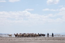 Photo du film UTAMA : LA TERRE OUBLIÉE de Alejandro Loayza Grisi