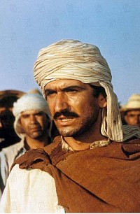 Photo du film CHRONIQUE DES ANNÉES DE BRAISE de Mohamed Lakhdar Hamina