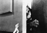 Photo du film L'HOMME QUI RÉTRÉCIT de Jack Arnold