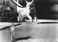 Photo du film L'HOMME QUI RÉTRÉCIT de Jack Arnold