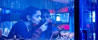 Photo du film THE SHAMELESS de Konstantin Bojanov