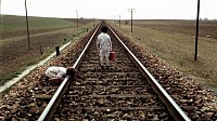 Photo du film L'ESPRIT DE LA RUCHE de Victor Erice