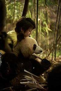 Photo du film MOON LE PANDA de Gilles de Maistre 