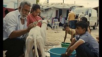 Photo du film CIUDAD SIN SUENO de Guillermo Galoe