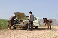 Photo du film L'ODEUR DU VENT de Hadi Mohaghegh