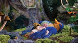 Photo du film JARDINS ENCHANTÉS Collectif