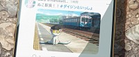 Photo du film SUZUME de Makoto Shinkai