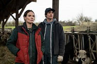 Photo du film LA GUERRE DES PRIX de Anthony Dechaux