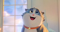 Photo du film CROQUETTE LE CHAT MERVEILLEUX de Christopher Jenkins