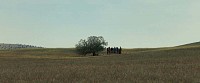 Photo du film FANON de Jean-Claude Barny