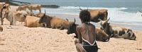 Photo du film LE RIRE ET LE COUTEAU de Pedro Pinho